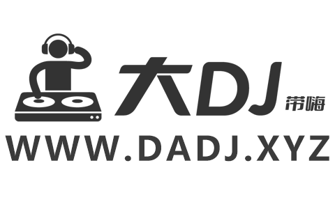 大DJ网宣传图